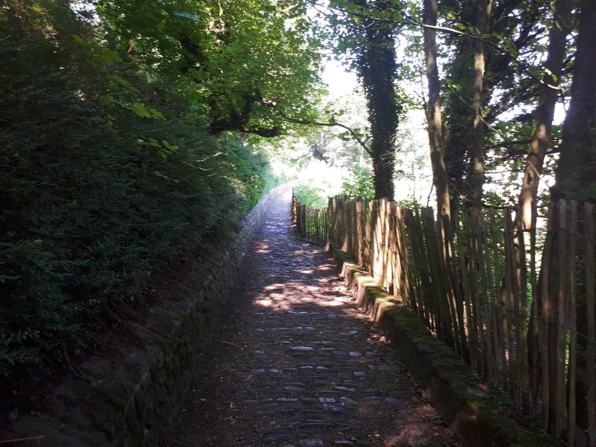 Au Coeur De * Cassel